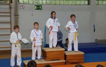 Judo VT2-2019