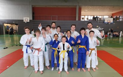 ✨️ Bezirkslehrgang ✨️